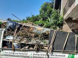 Best Dumpster Rental Services  in Rogersville, AL